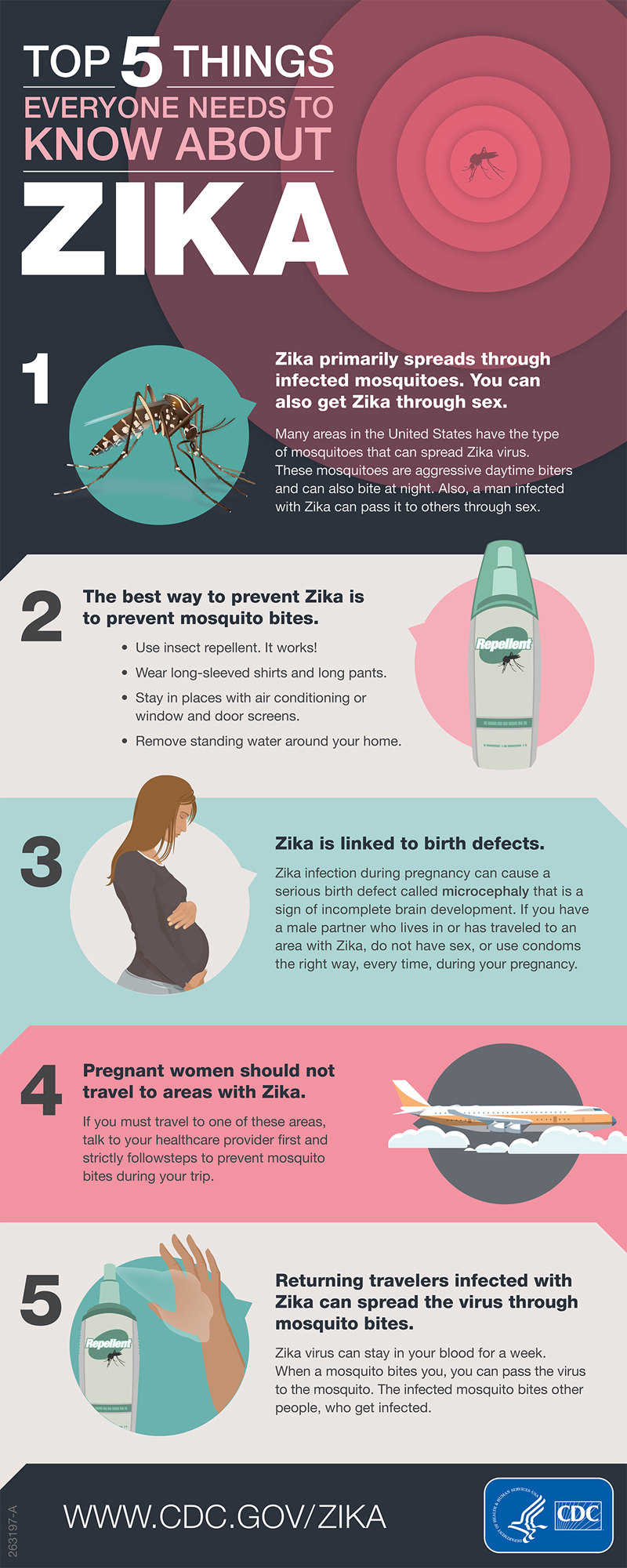 This Zika graphic was produced by the Centers for Disease Control and Prevention. Click to enlarge. (CNS graphic/Centers for Disease Control and Prevention)