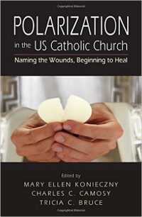 Polarization in the U.S. Catholic Church BOOK