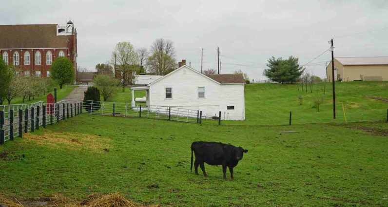 Kentucky farm rooted in mission of Dominican Sisters of Peace ...