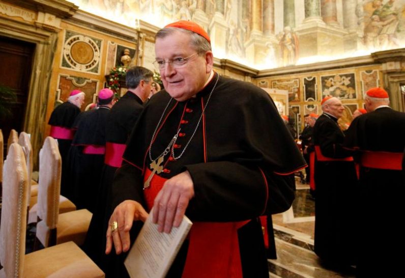 pope-names-cardinal-burke-a-judge-on-vatican-supreme-court-catholic