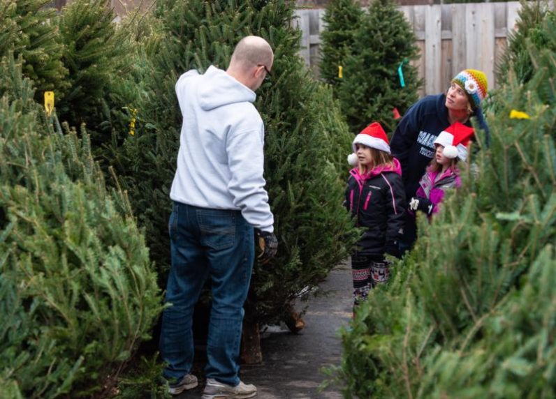 Christmas tree sales benefit charities and help families celebrate