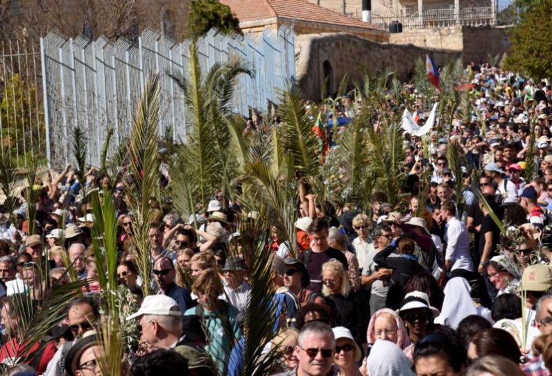 What Our Palm Branches Really Mean Catholic Philly