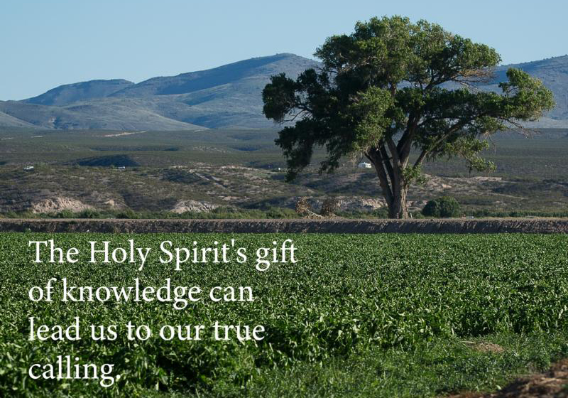 Discerning a path with the gift of knowledge - CatholicPhilly