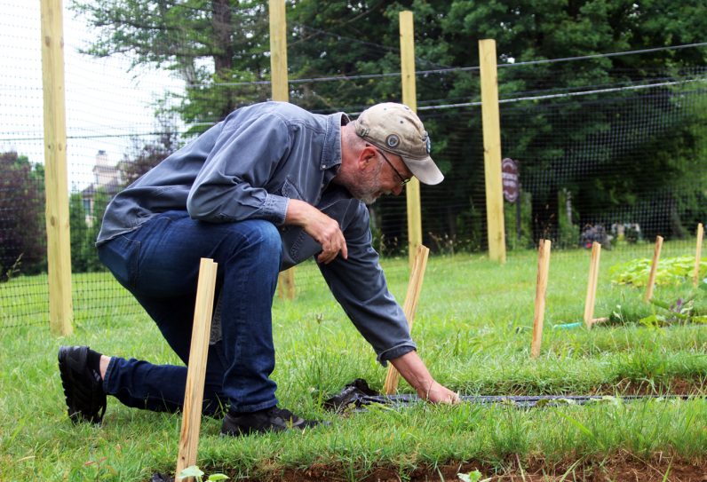 Parish garden spreads roots, fruits far and wide – CatholicPhilly