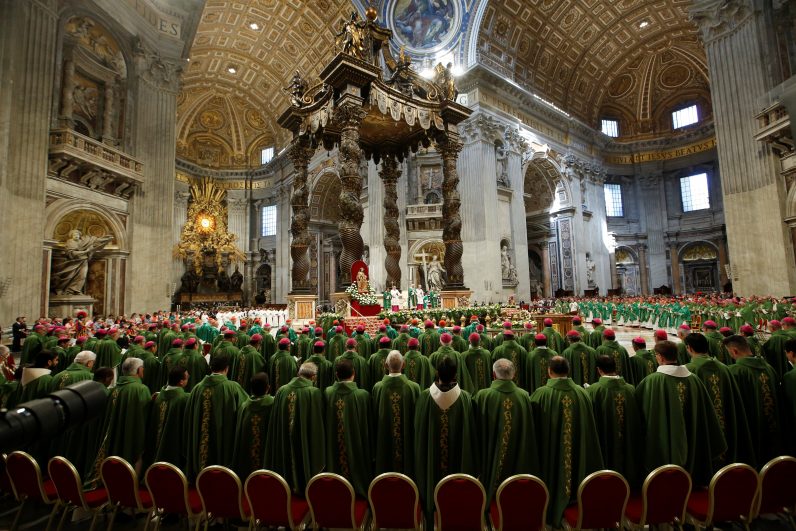 Plans for next synod continue at Vatican - Vimarsana News