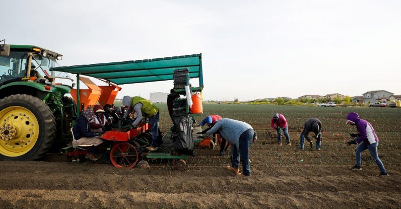 Farmers, farmworkers alike risk poverty as agribusiness contracts - Vimarsana News